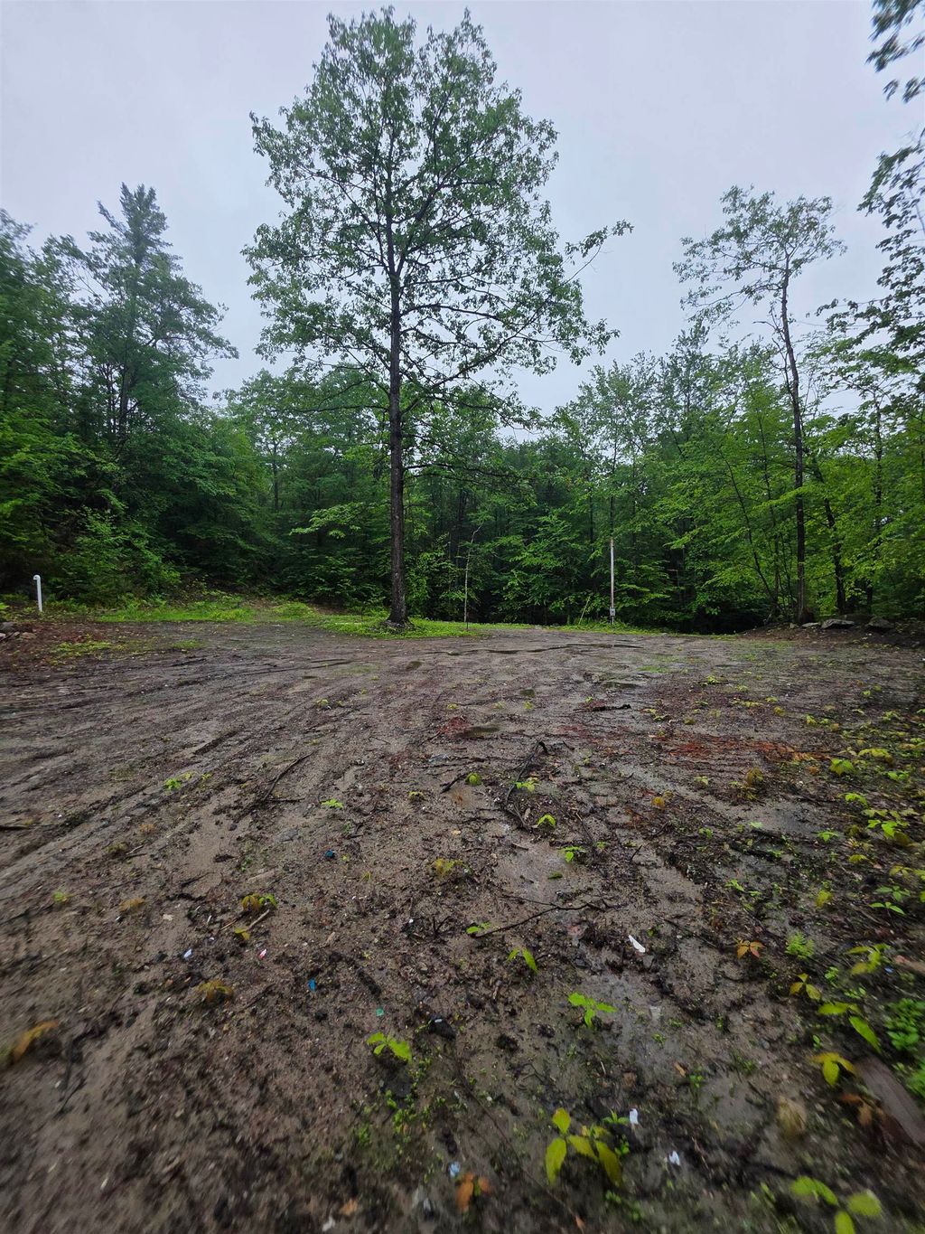 Photo of 84 Texas Hill Road, Plymouth, NH 03264 (MLS # 5095661)