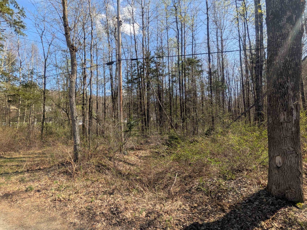Photo of Charlestown Road #154/36, Claremont, NH 03743 (MLS # 5085764)