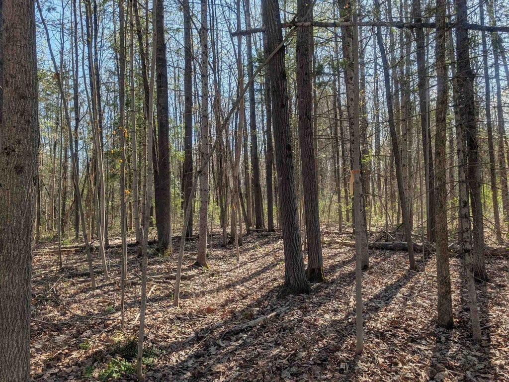 Photo of Charlestown Road #154/36, Claremont, NH 03743 (MLS # 5085764)