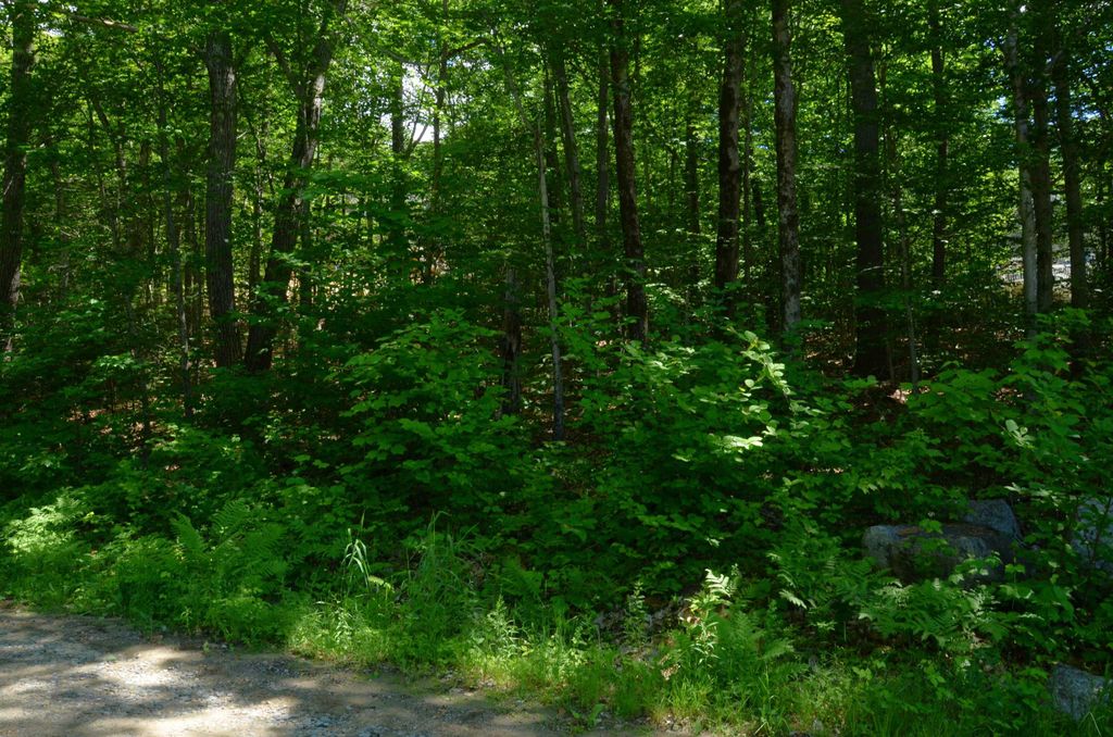 Photo of Scott Drive #Lot 112, Alton, NH 03810 (MLS # 5095810)