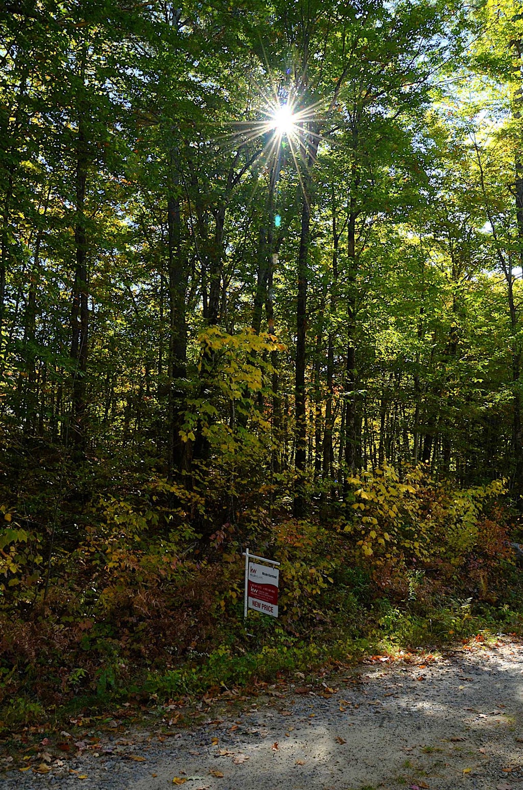 Photo of Scott Drive #Lot 112, Alton, NH 03810 (MLS # 5095810)