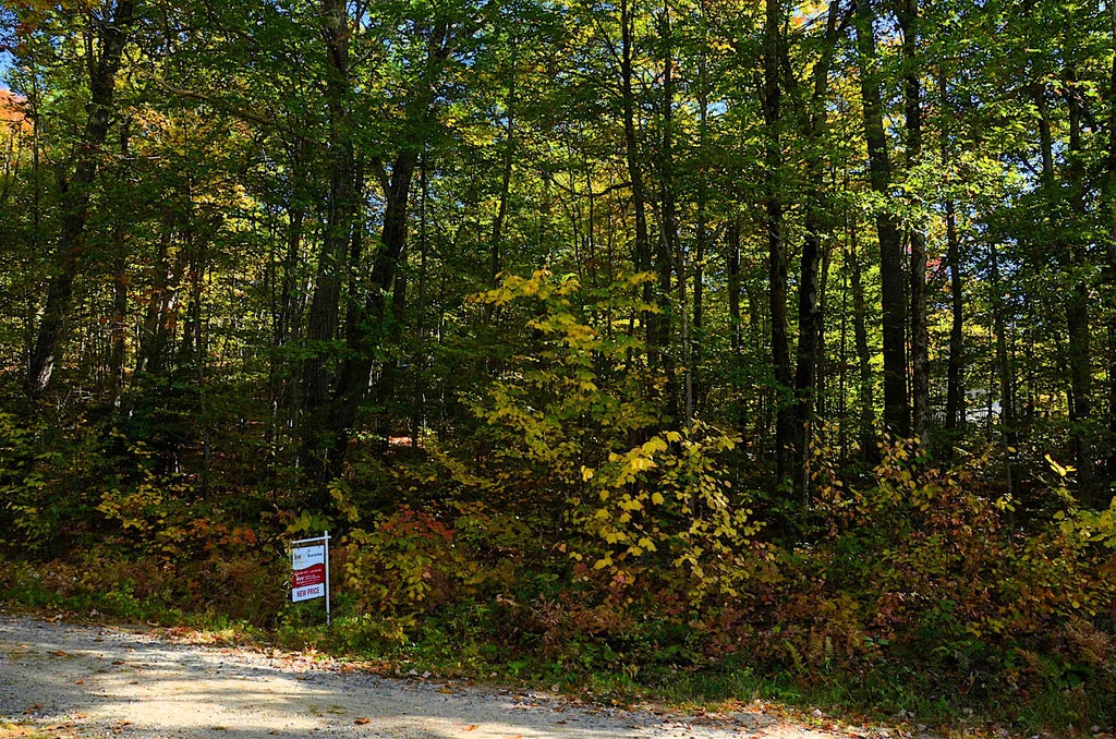 Photo of Scott Drive #Lot 112, Alton, NH 03810 (MLS # 5095810)