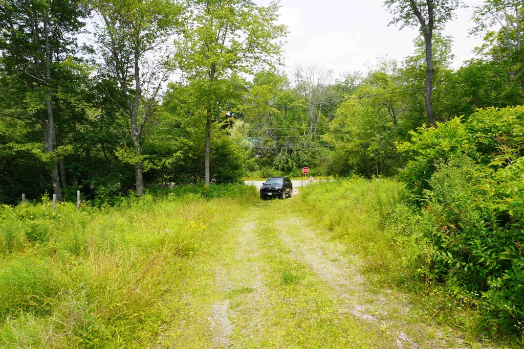 Photo of 4 Old Forest Road, Marlow, NH 03456 (MLS # 5109574)