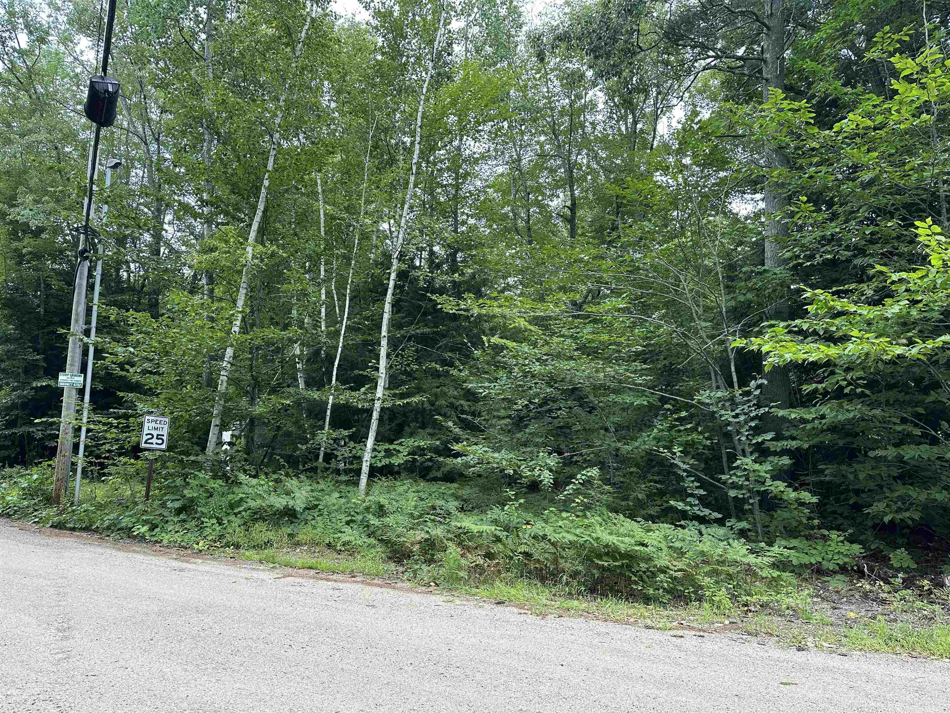 Fox Road lot 55