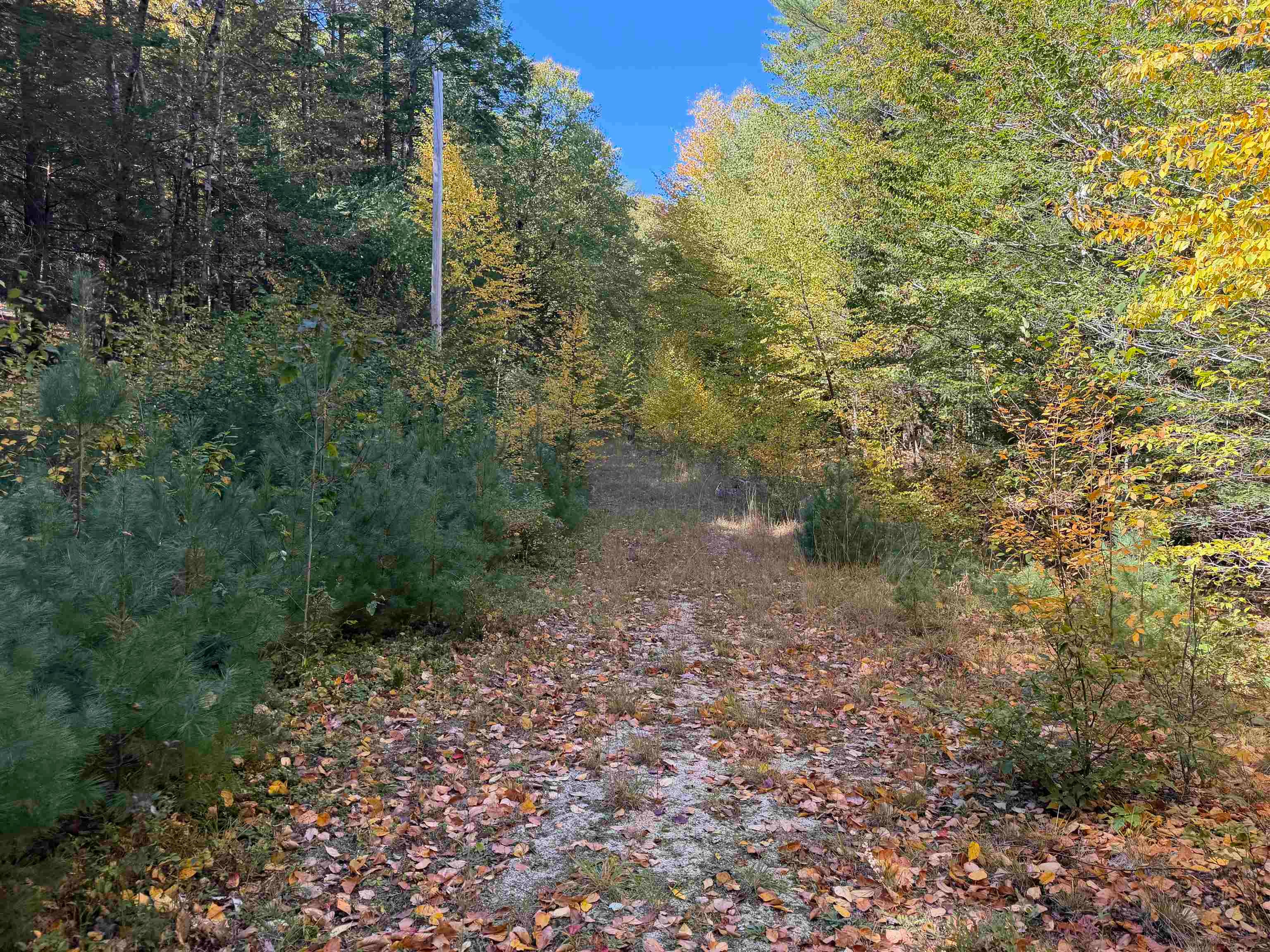 0off Langley Road Lot 10