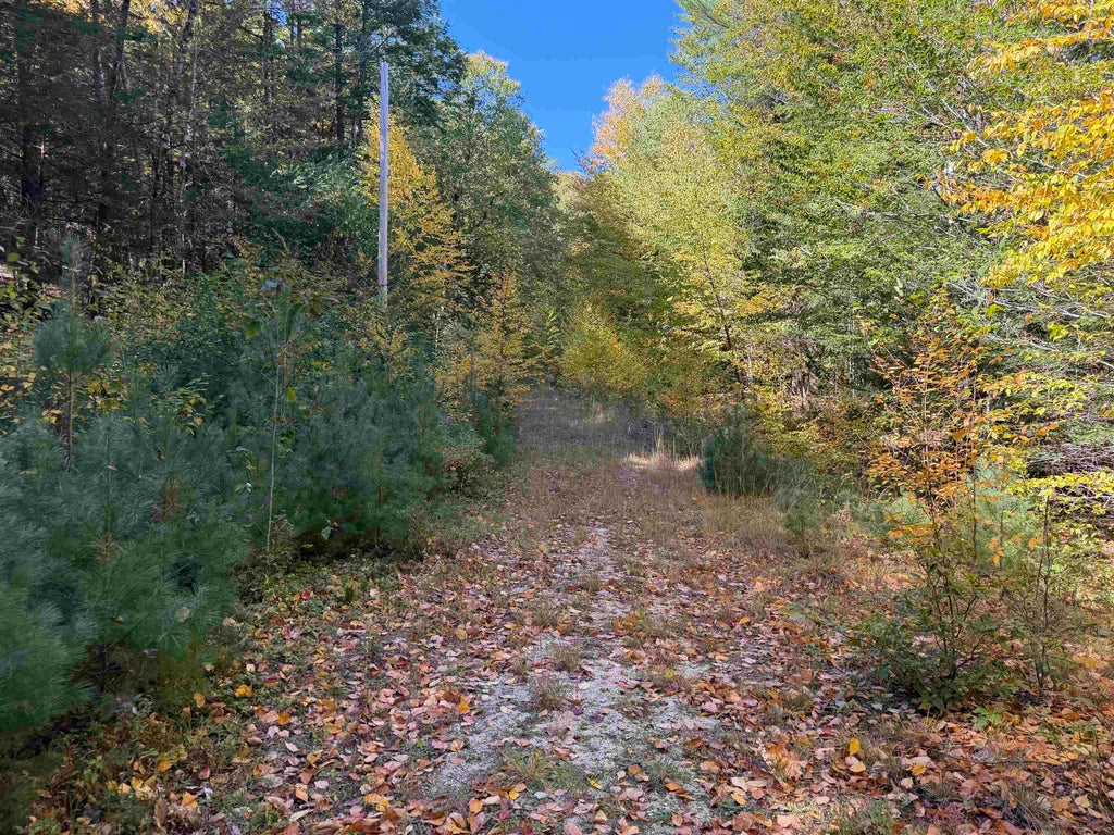Photo of 0off Langley Road #Lot 10, Keene, NH 03431 (MLS # 5113492)