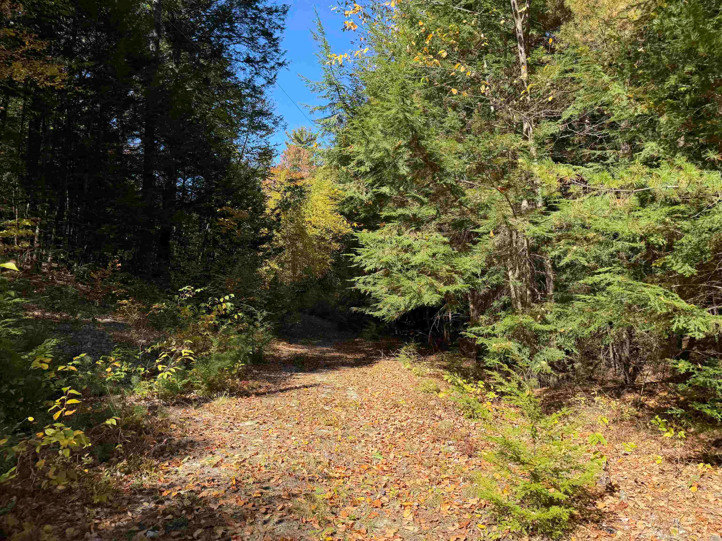 0off Langley Road Lot 10