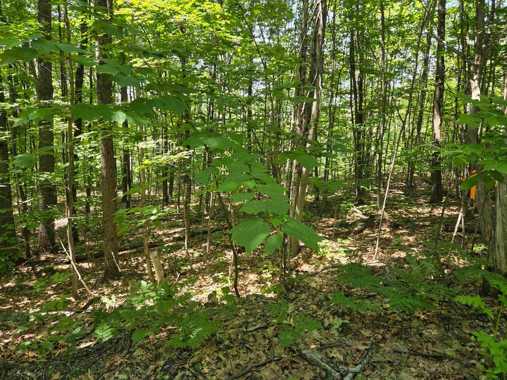 Photo of X Methodist Hill Road, Enfield, NH 03748 (MLS # 5099778)
