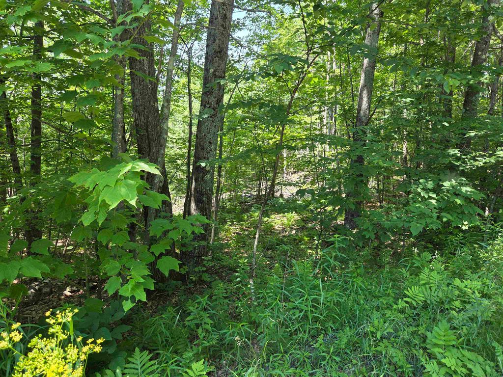 Photo of X Methodist Hill Road, Enfield, NH 03748 (MLS # 5099778)