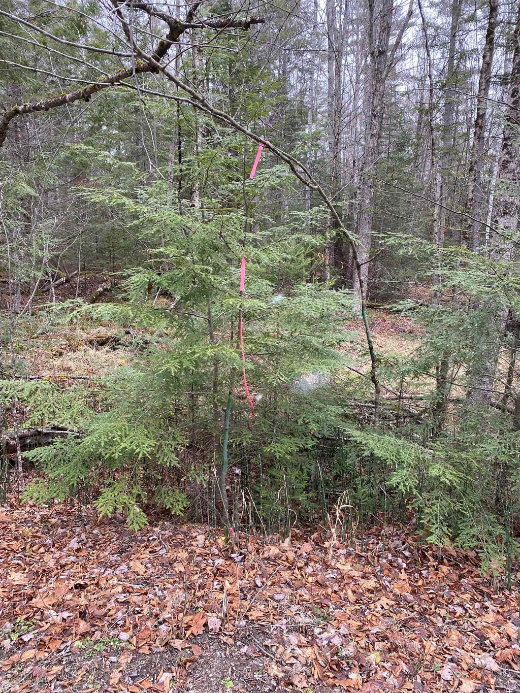 Photo of 84 Vernon Avenue #Also Lots  103 and, Haverhill, NH 03765 (MLS # 5071317)