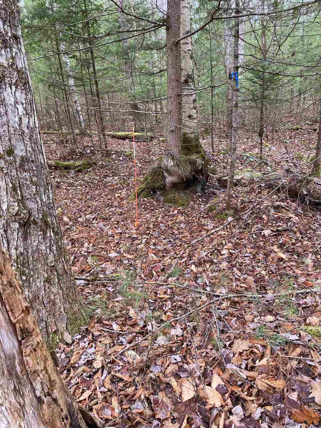 Photo of 84 Vernon Avenue #Also Lots  103 and, Haverhill, NH 03765 (MLS # 5071317)