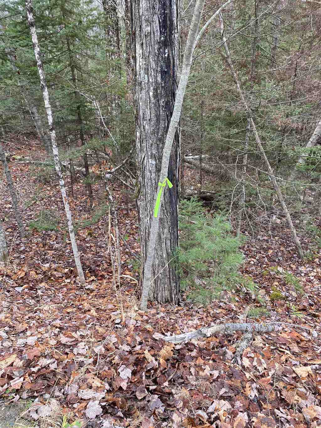 Photo of 84 Vernon Avenue #Also Lots  103 and, Haverhill, NH 03765 (MLS # 5071317)