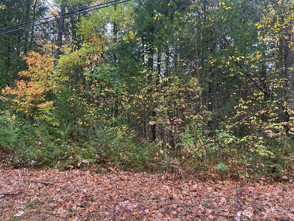 Photo of 0 Bolton Road, Winchester, NH 03470 (MLS # 5114114)