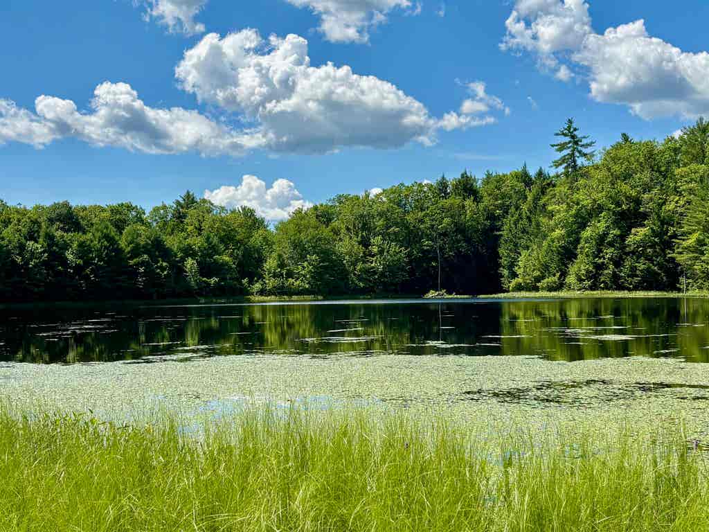 Photo of 307 Burnt Hill Road, Warner, NH 03278 (MLS # 5098850)