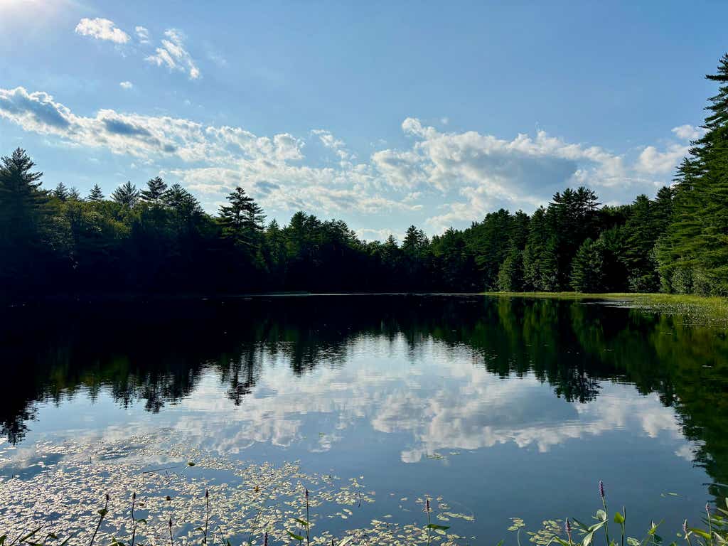 Photo of 307 Burnt Hill Road, Warner, NH 03278 (MLS # 5098850)