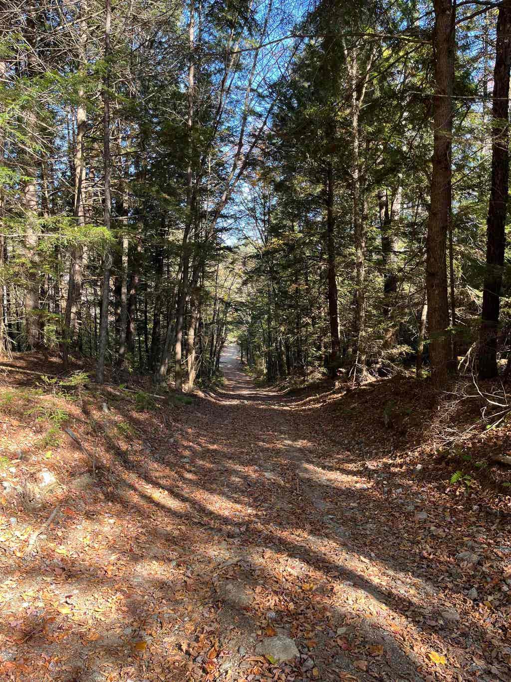 Photo of 710 Underwood Road #Map 221 Lots 007 &amp; 0, Acworth, NH 03601 (MLS # 5102235)