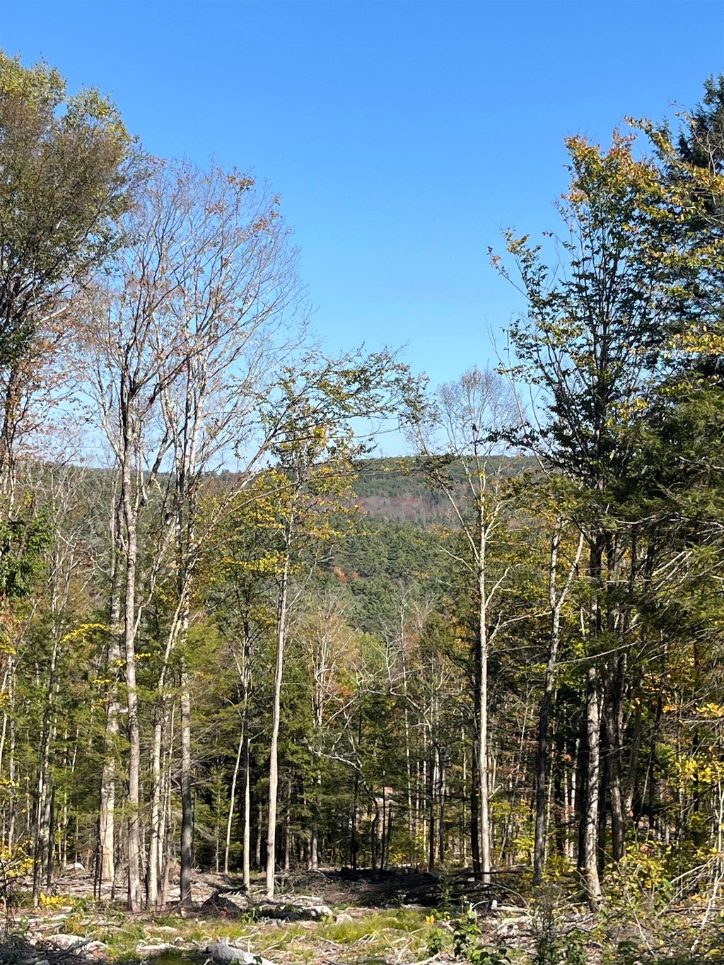Photo of 710 Underwood Road #Map 221 Lots 007 &amp; 0, Acworth, NH 03601 (MLS # 5102235)