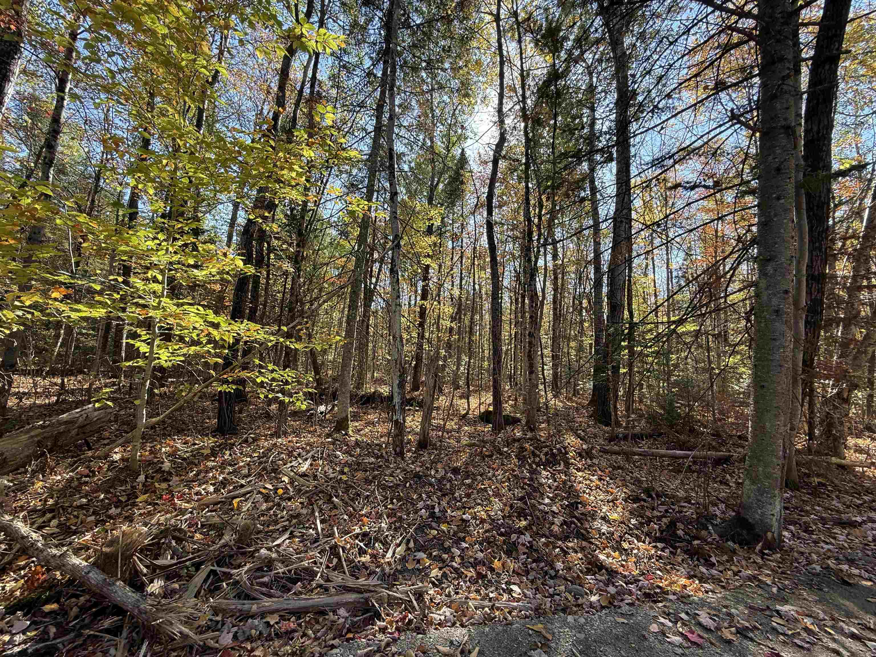 1414 Collins Mill Road - Photo 4