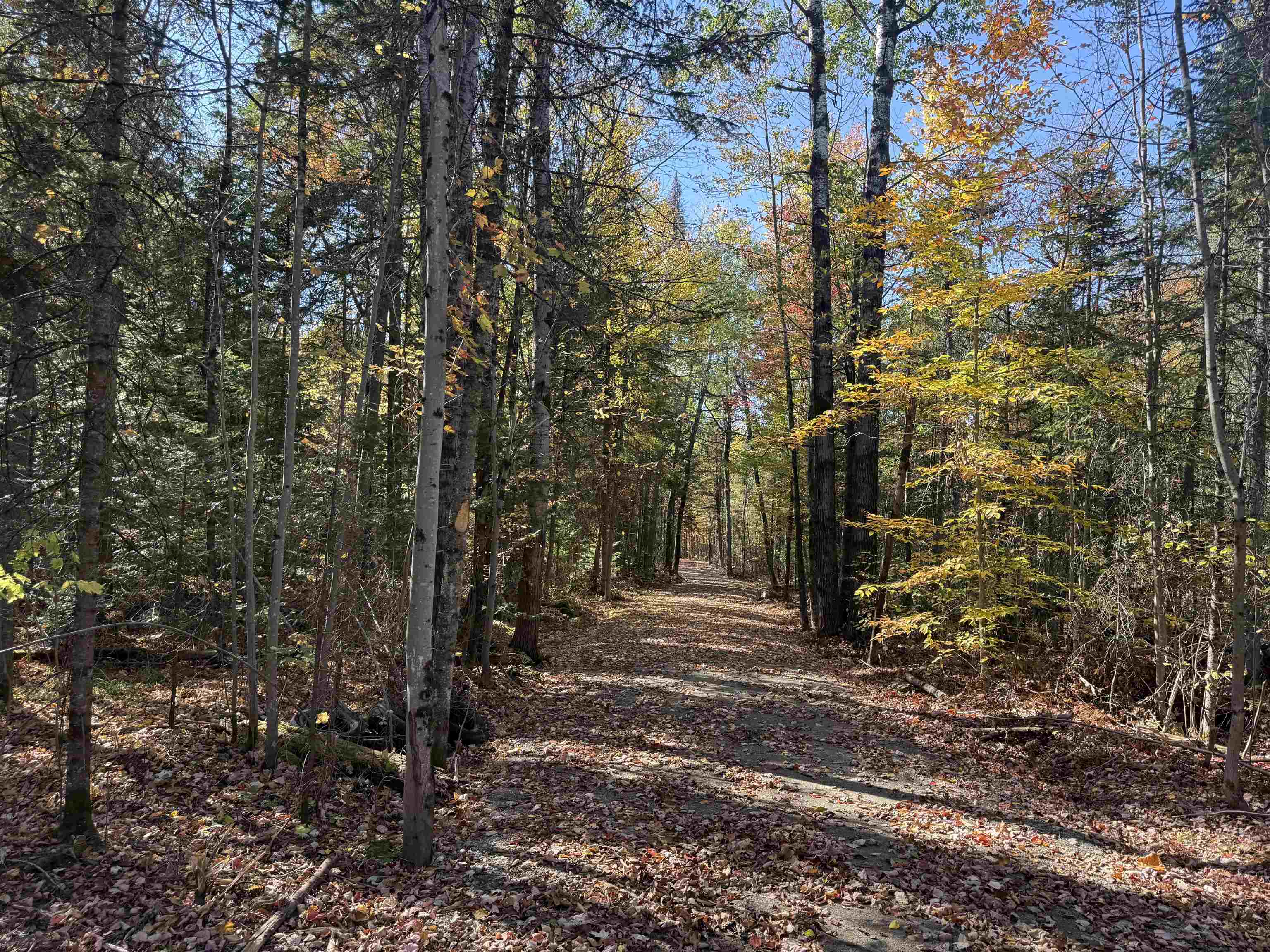 1414 Collins Mill Road - Photo 3