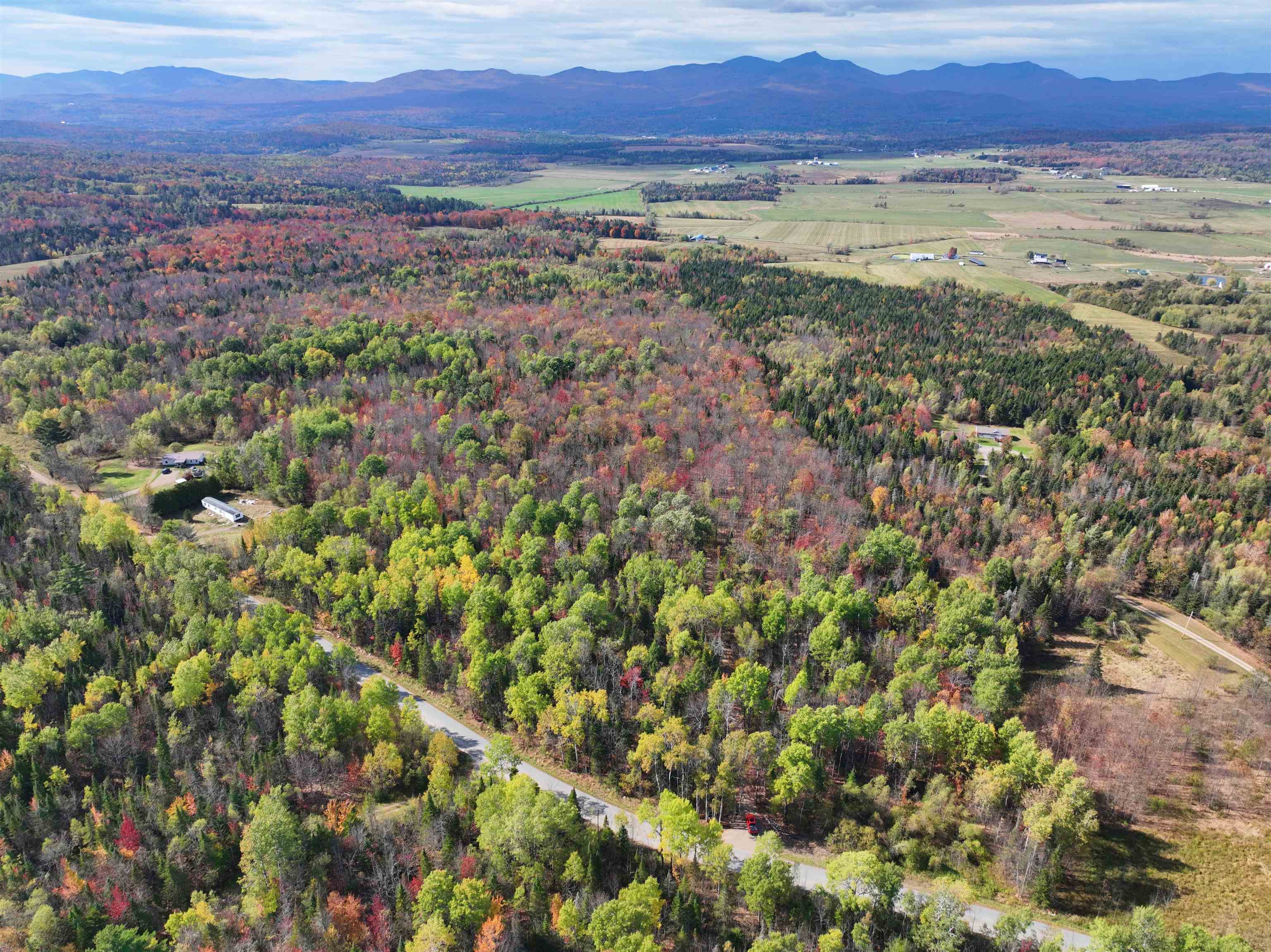 1414 Collins Mill Road - Photo 2