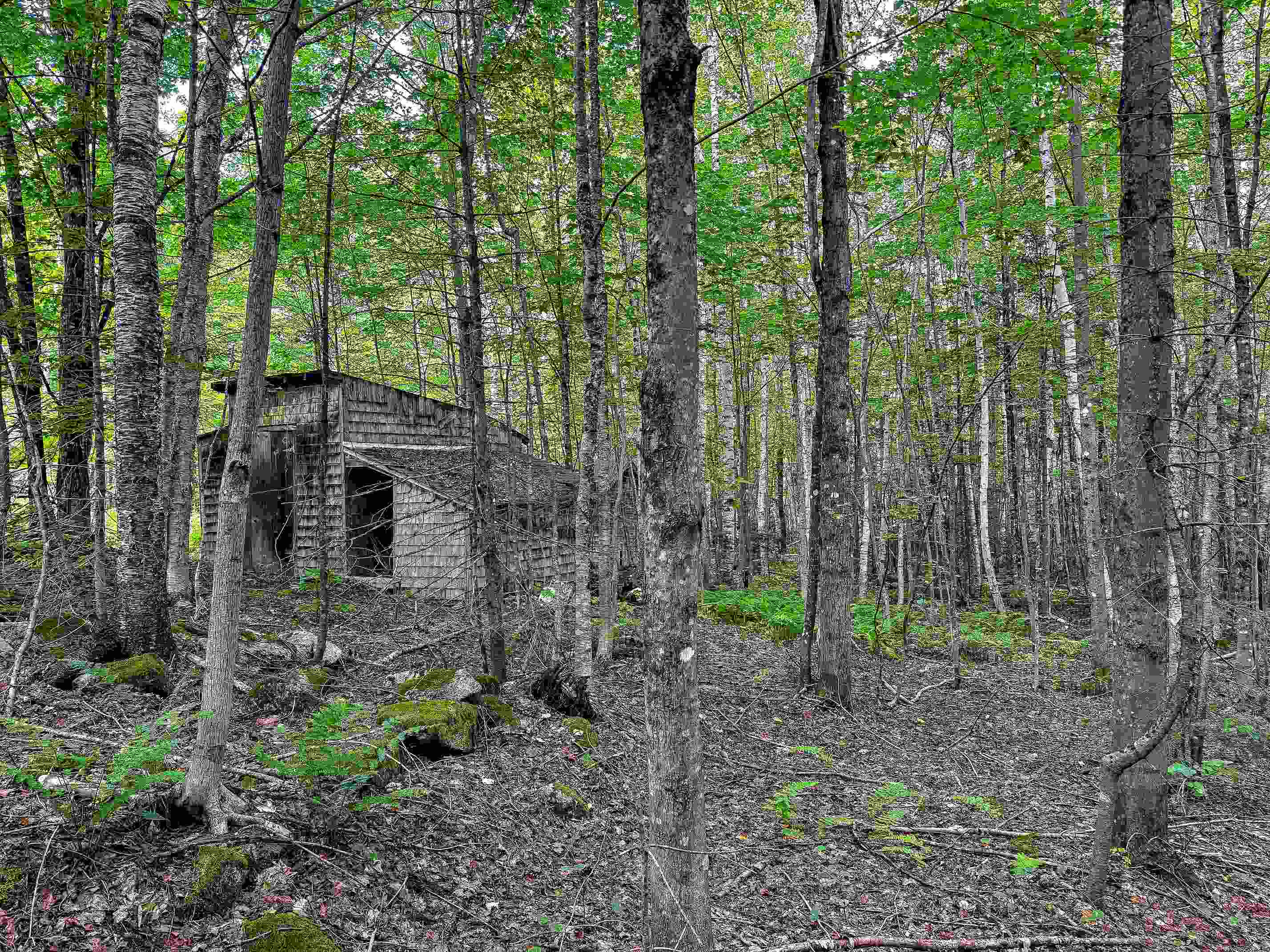 1832 Kinney Hill Road