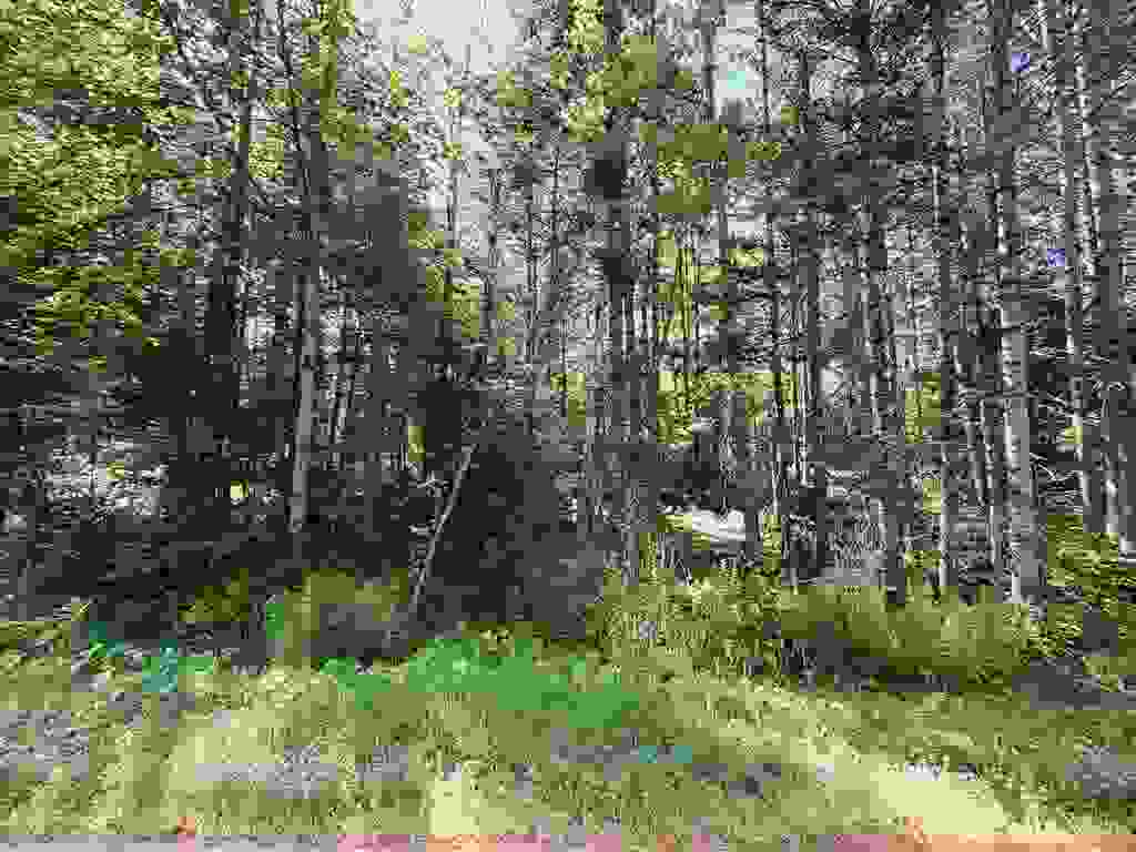 Photo of 0 Parker Road, Whitefield, NH 03598 (MLS # 5100676)
