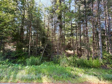 0 Parker Road Whitefield NH 03598