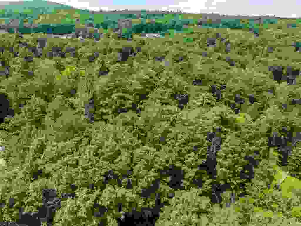 Photo of 34 Leisure Drive, Gilford, NH 03249 (MLS # 5106351)