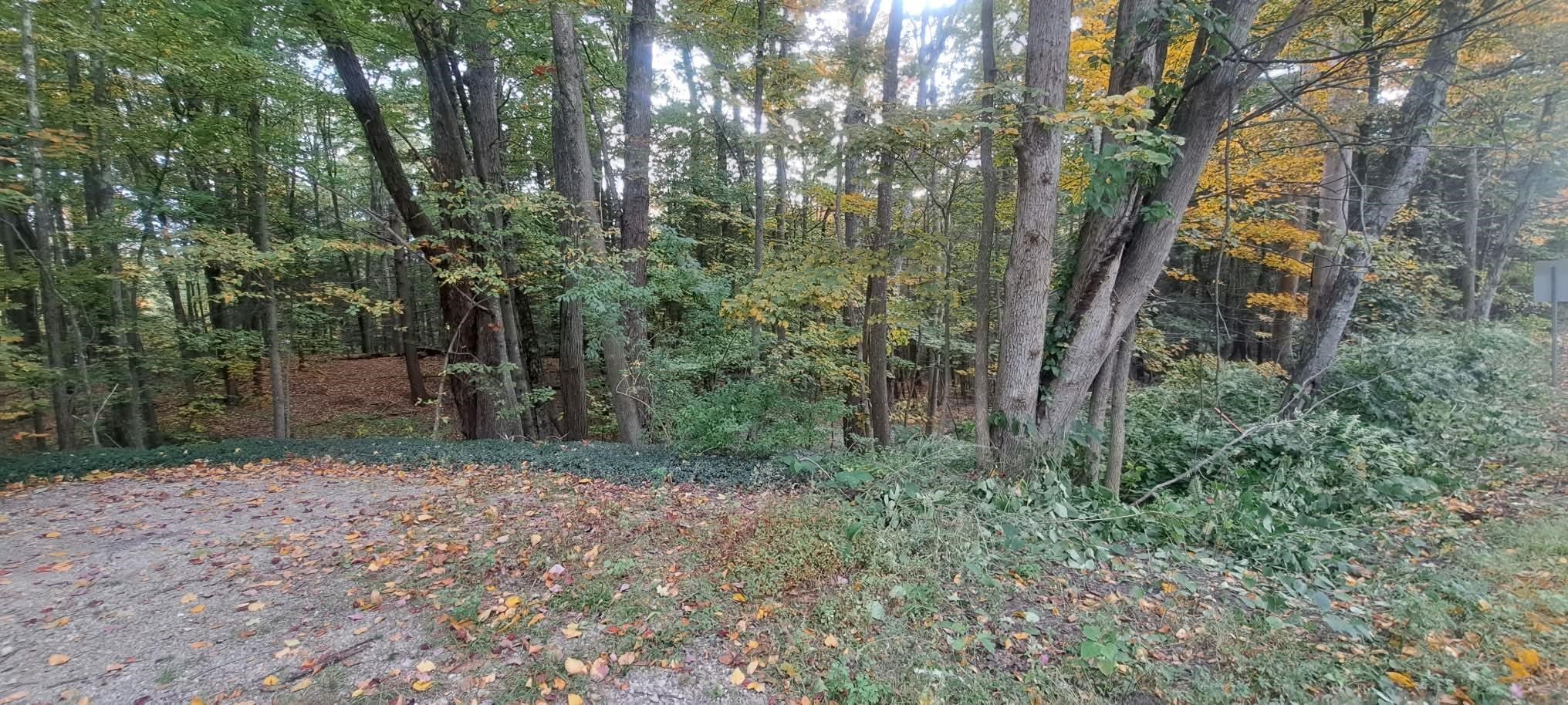 248 Old Turnpike Road