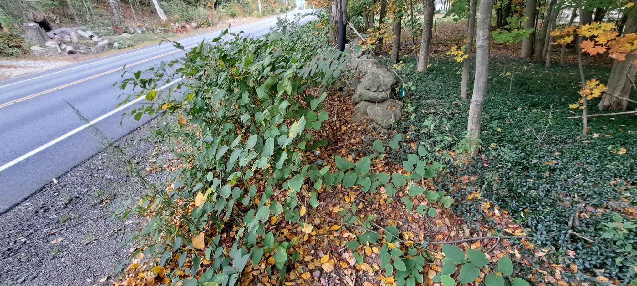 248 Old Turnpike Road