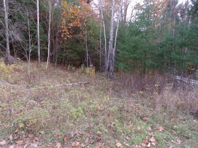 Photo of Fenn Way Circle #22, Bath, NH 03740 (MLS # 5115300)