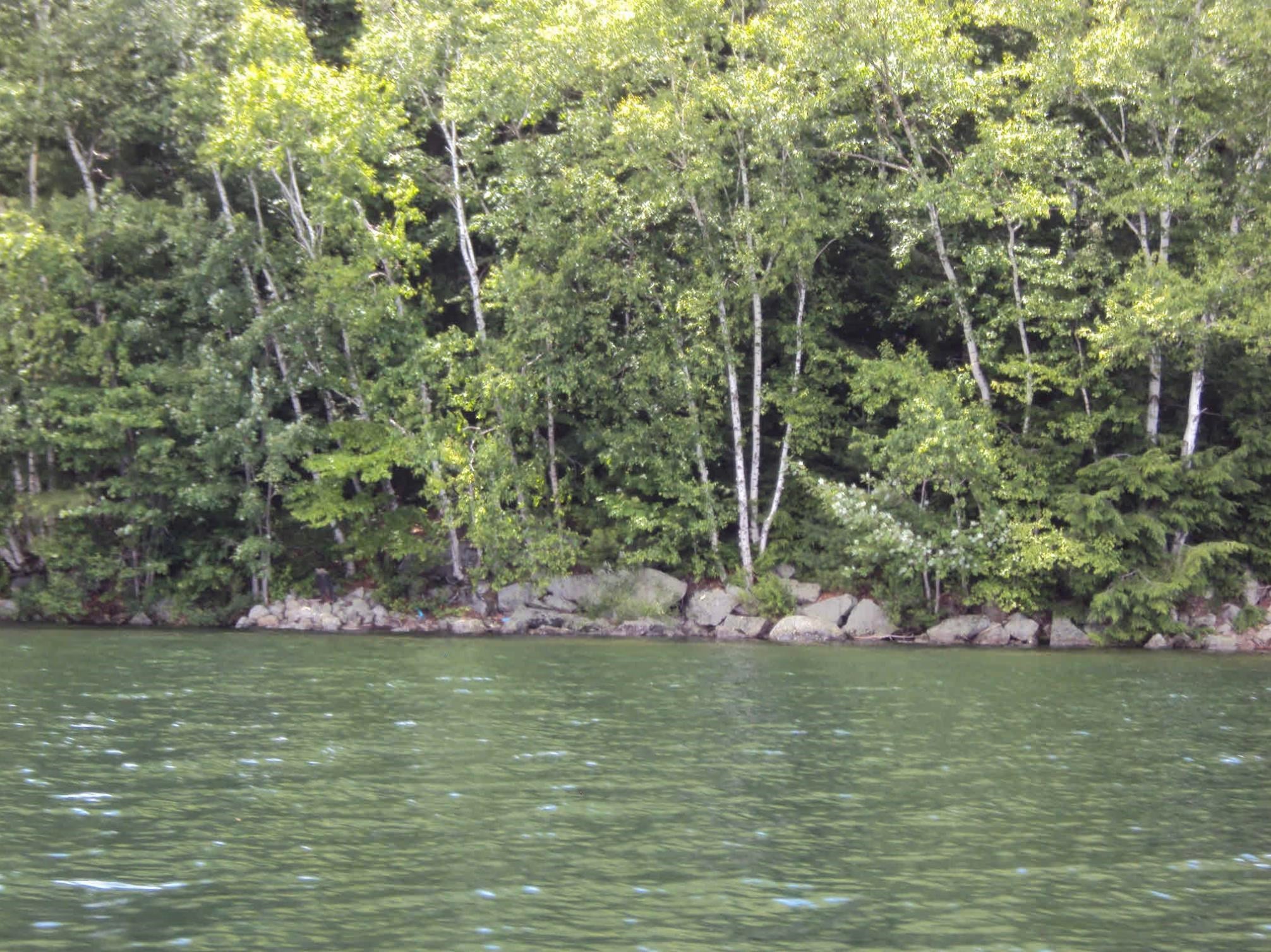lot #20a-333-70 Route 103
