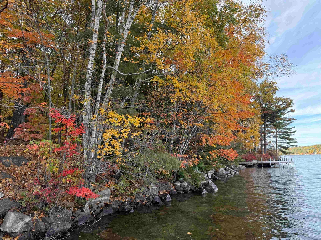 Photo of 2033370 Route 103, Newbury, NH 03255 (MLS # 5110672)