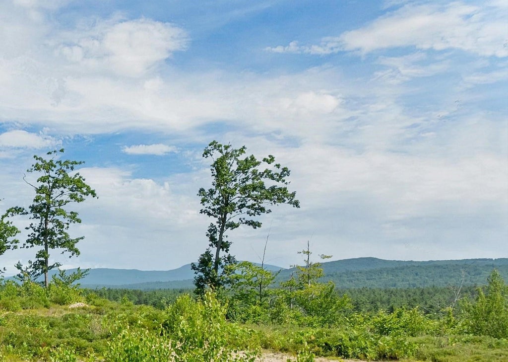Photo of 5 Village Corner Road, Wolfeboro, NH 03894 (MLS # 5099201)