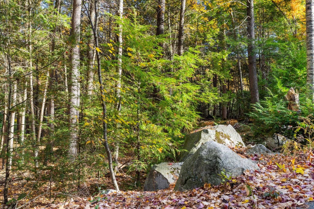 Photo of 10 Evergreen Drive, Hampstead, NH 03841 (MLS # 5115521)