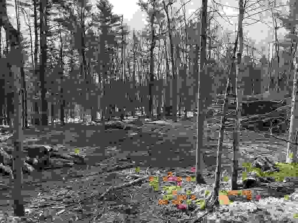Photo of Presidential Drive, Washington, NH 03280 (MLS # 5079376)