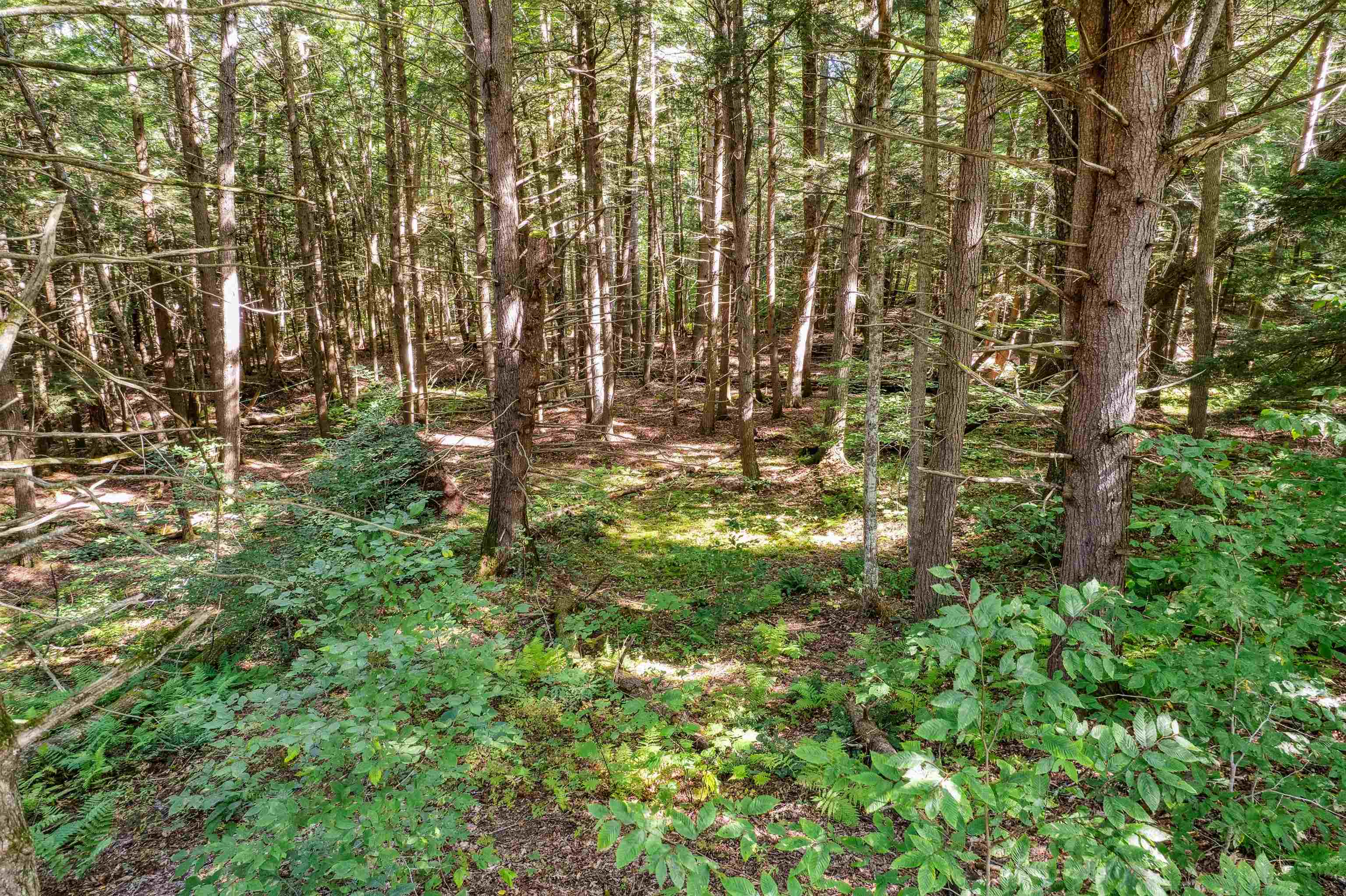933 Gage Road