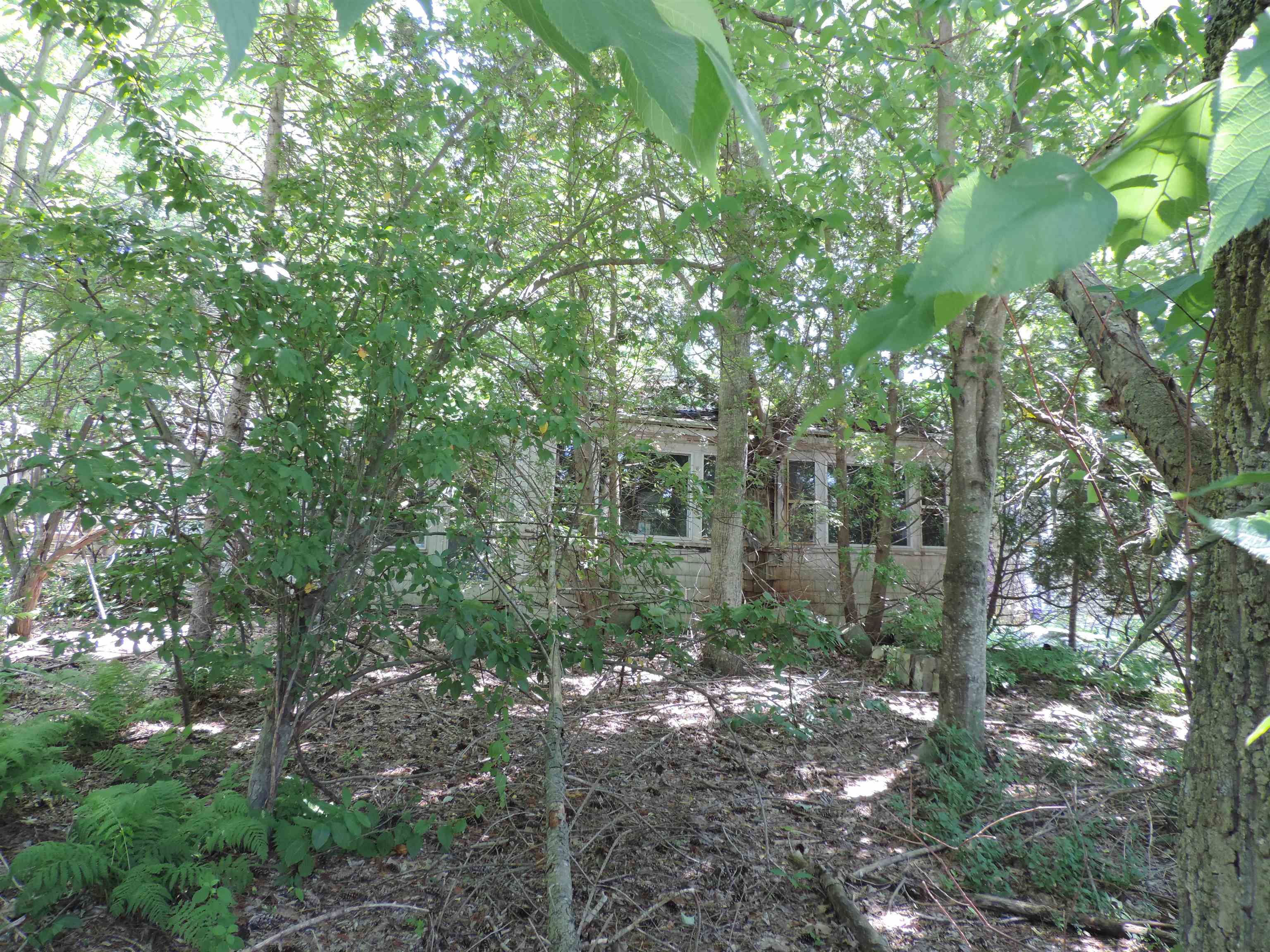 5 Woodlawn Road