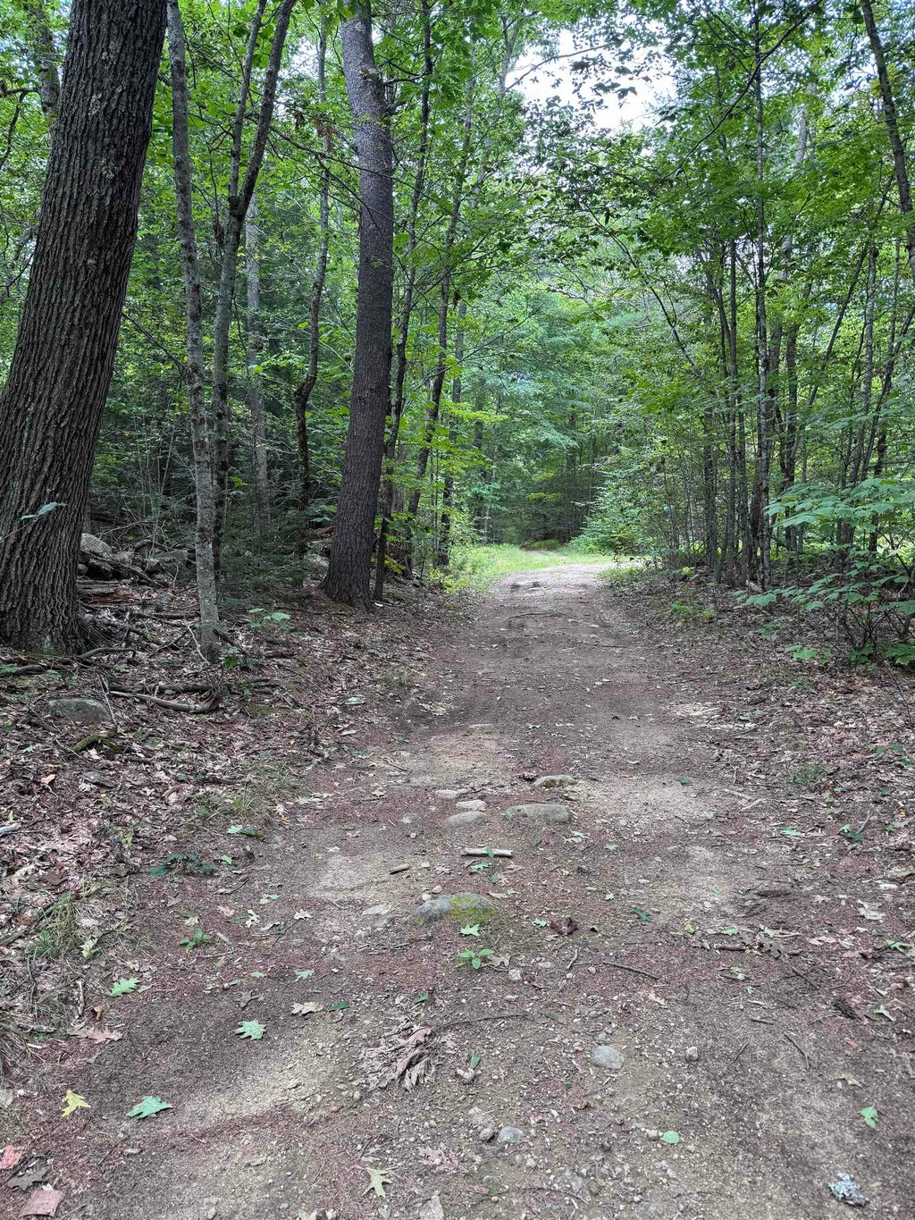 Photo of 0 Old Pierce Road, Fitzwilliam, NH 03447 (MLS # 5108788)