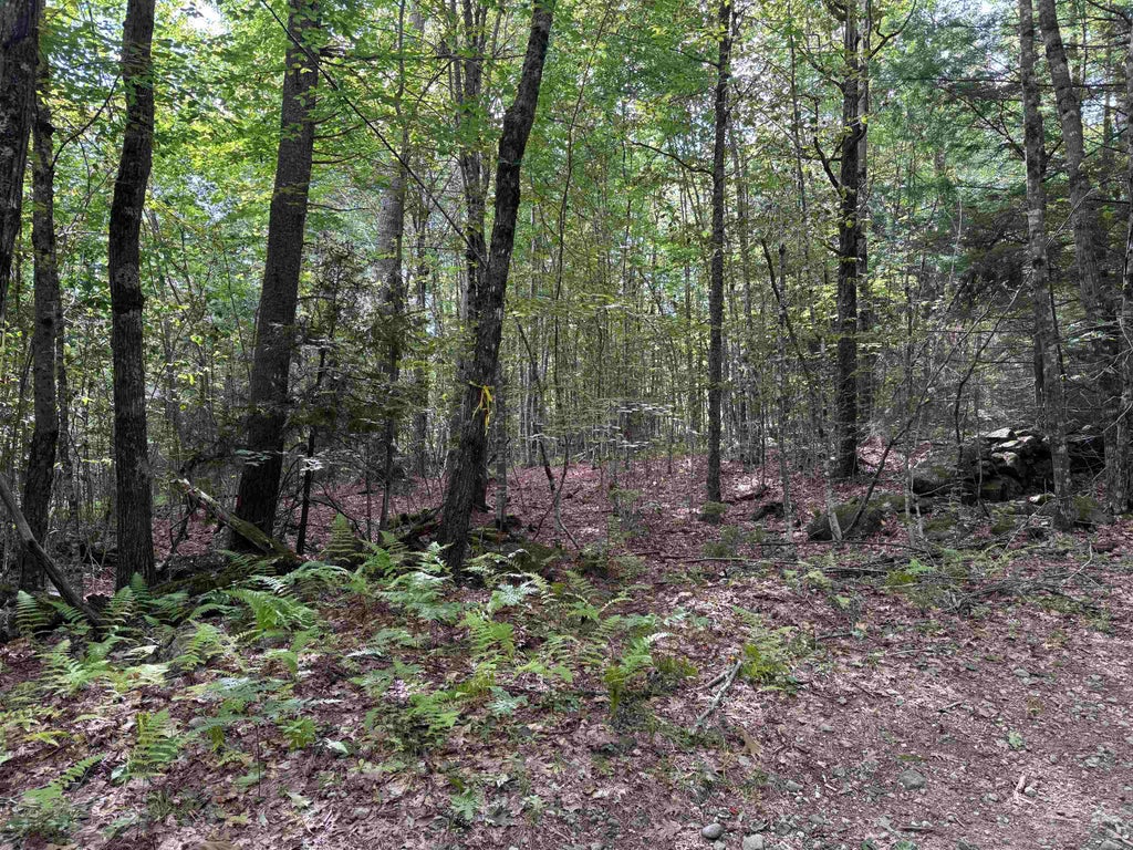Photo of 0 Old Pierce Road, Fitzwilliam, NH 03447 (MLS # 5108788)
