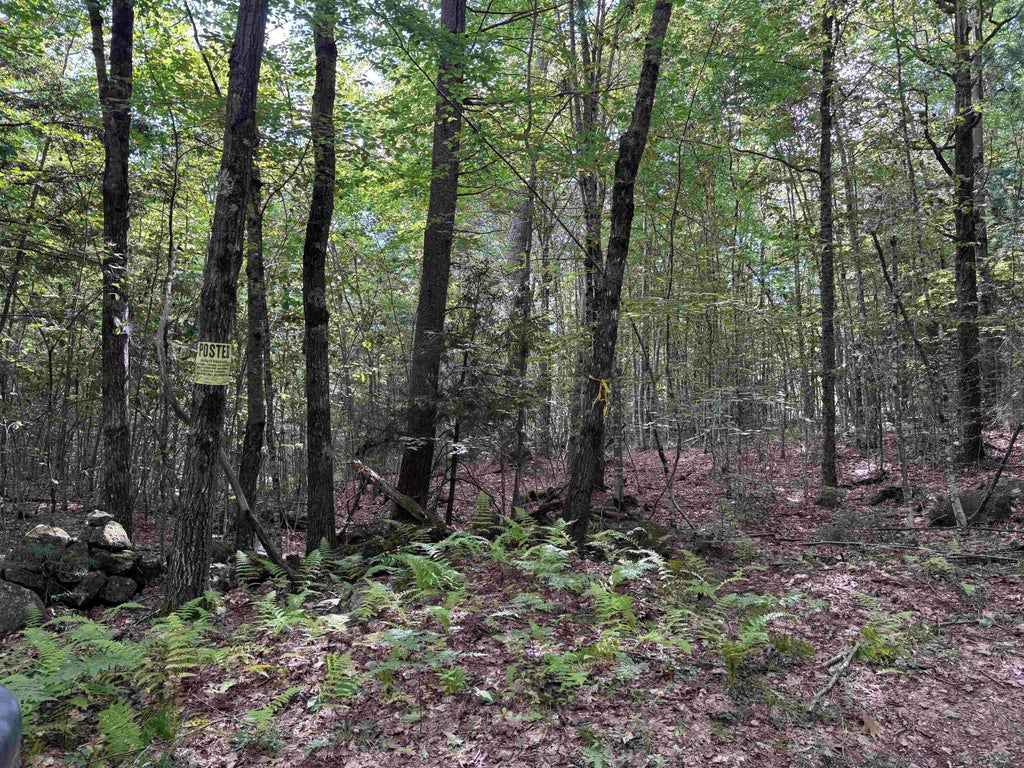 Photo of 0 Old Pierce Road, Fitzwilliam, NH 03447 (MLS # 5108788)