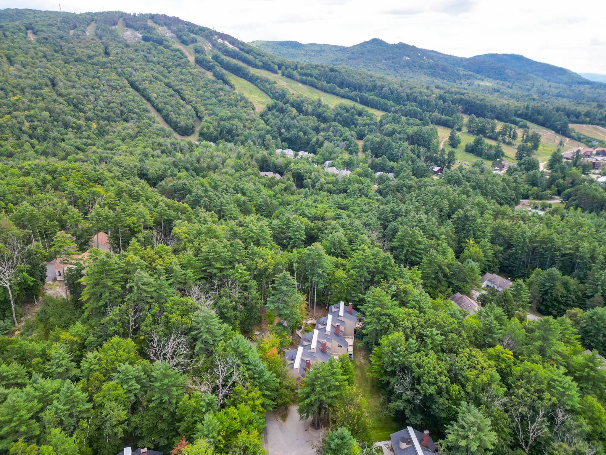 #8 Cranmore Woods Lane 8
