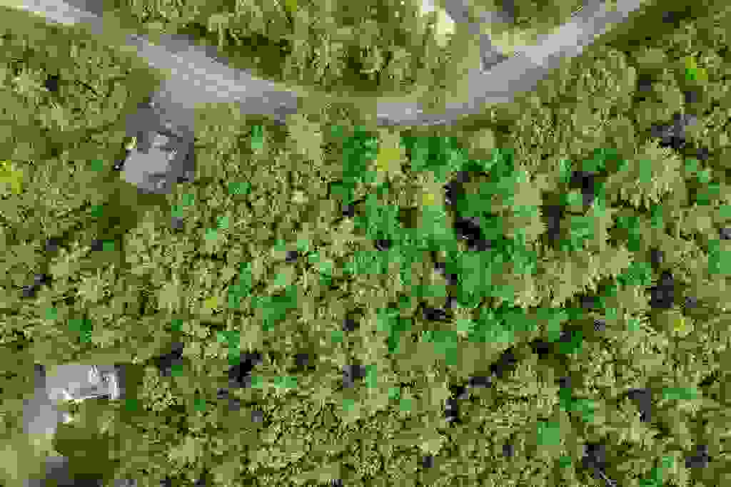 Photo of 00 States Landing Road, Moultonborough, NH 03254 (MLS # 5104294)