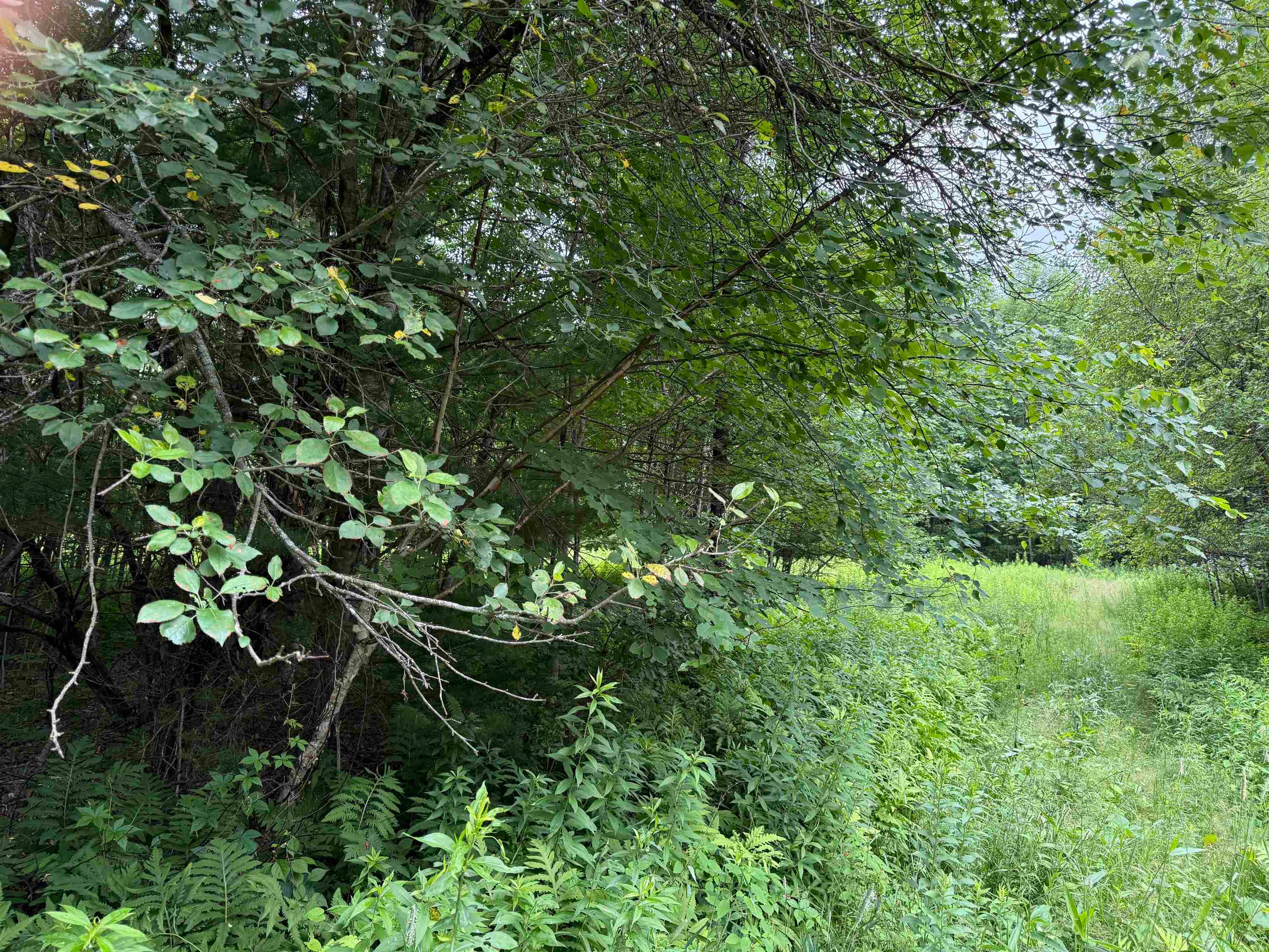 90 Stone Hill Road