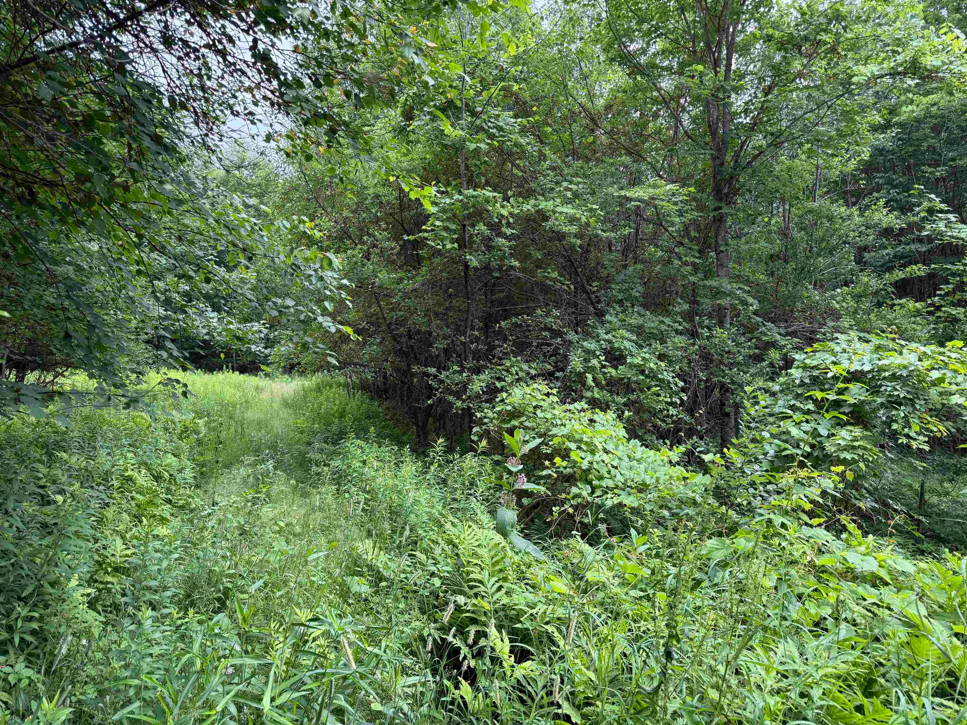 90 Stone Hill Road