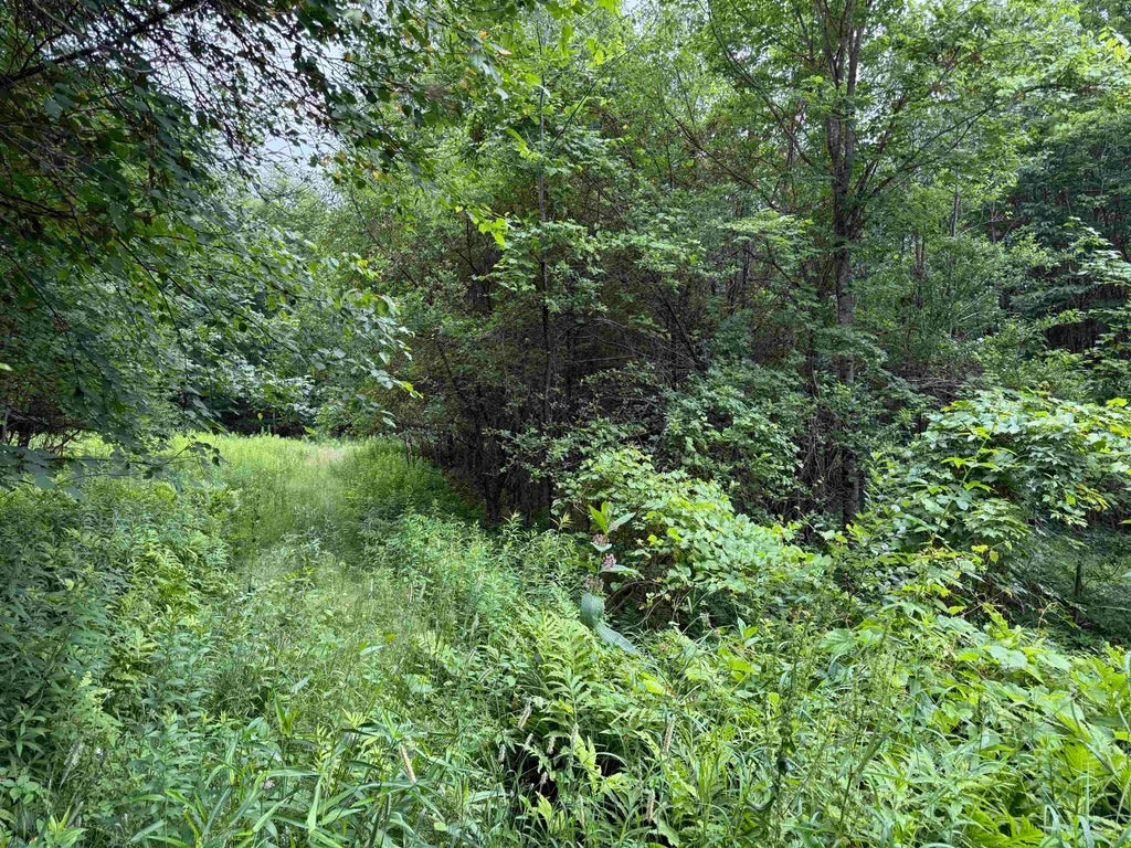 Photo of 90 Stone Hill Ridge, Rumney, NH 03266 (MLS # 5099812)