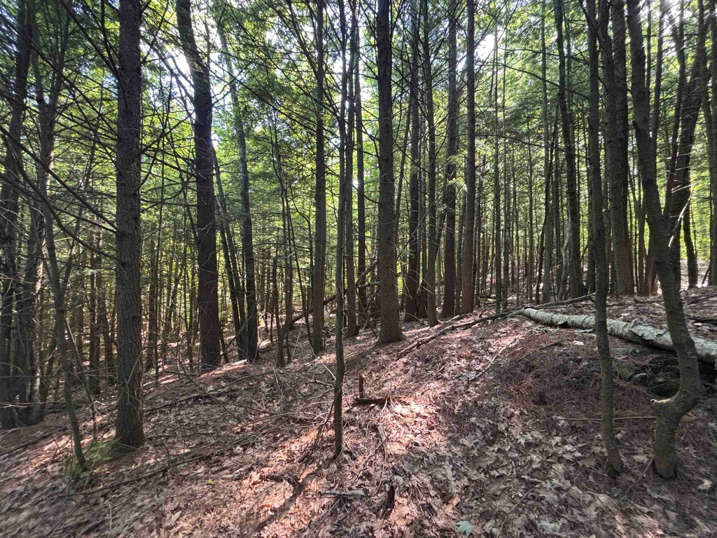 Photo of 00 Windfall Road, Northfield, NH 03276 (MLS # 5095840)