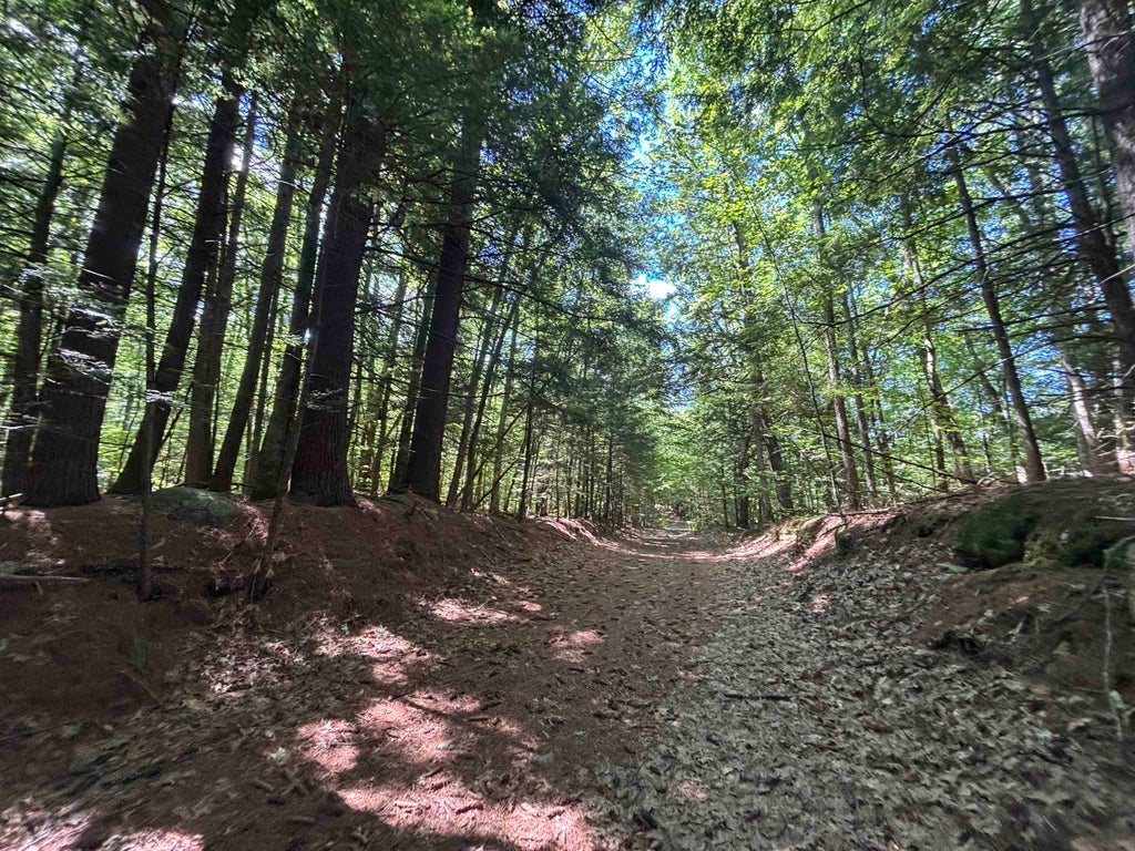 Photo of 00 Windfall Road, Northfield, NH 03276 (MLS # 5095840)