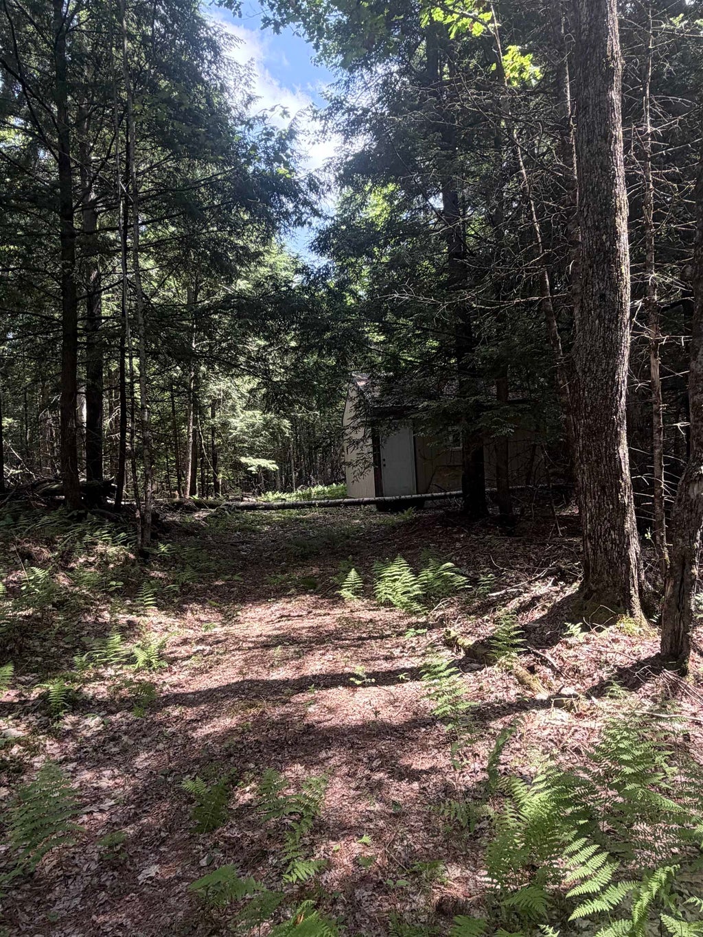 Photo of Whitcher Road, Newport, NH 03773 (MLS # 5097404)
