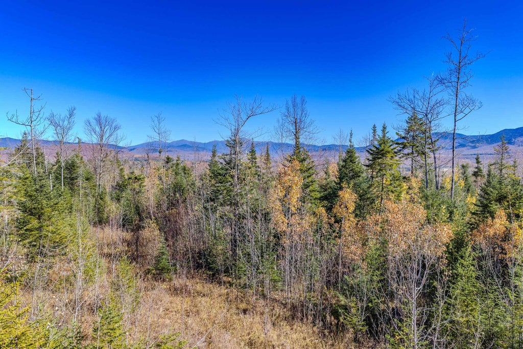 Photo of 1 Swazey Lane, Bethlehem, NH 03574 (MLS # 5115849)